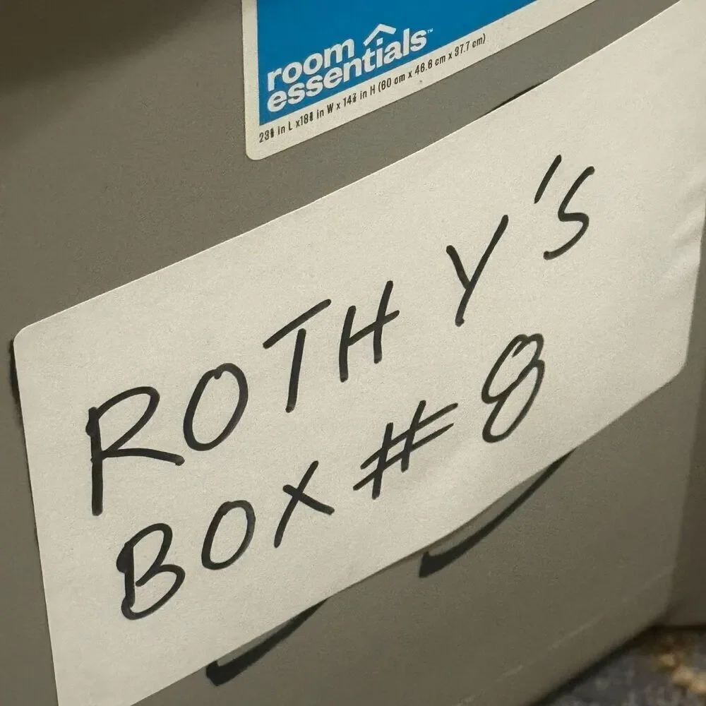 Rothys one shoe